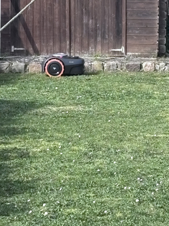 IMG_6753.jpeg