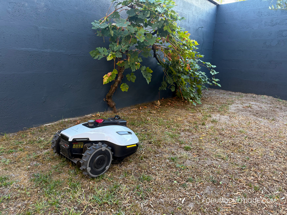 MAMMOTION yuka mini 2 1000 lidar obstacles
